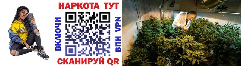 Купить закладку Alpha PVP  Кокаин  МЕФ  LSD-25  Гашиш  Бутират  Шали