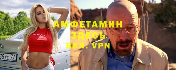 шишки Горняк
