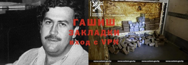 гидра Горно-Алтайск
