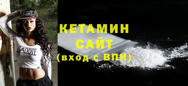 шишки Горняк