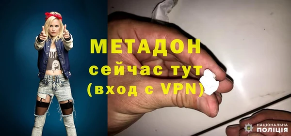шишки Горняк