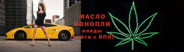 шишки Горняк