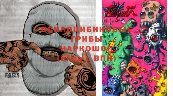 шишки Горняк