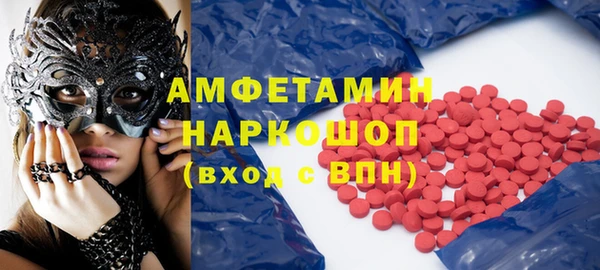 шишки Горняк