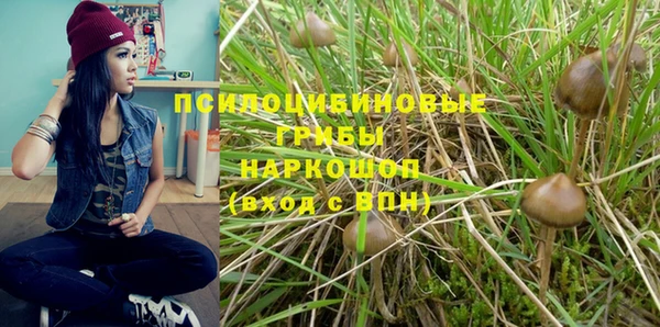 гидра Горно-Алтайск