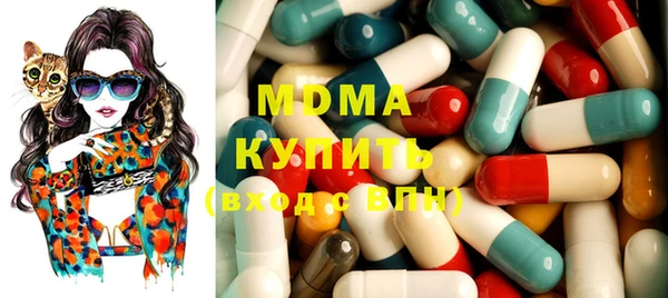 шишки Горняк