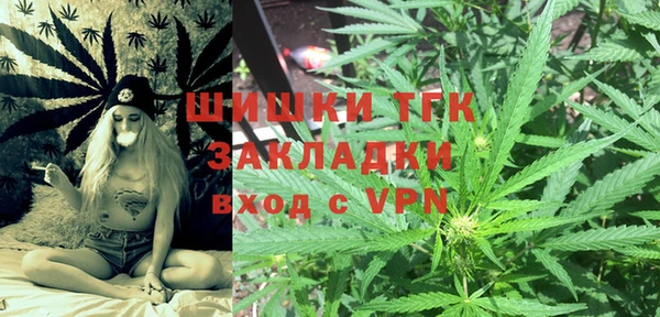 гидра Горно-Алтайск